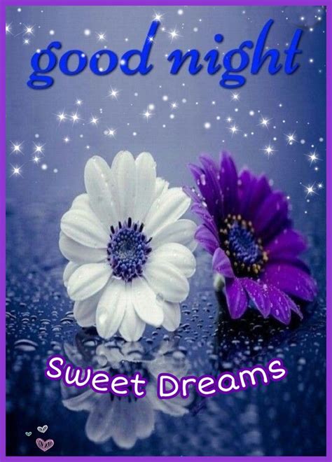 Pin By Nina Addis On Good Night 10 Good Night Messages Good Night
