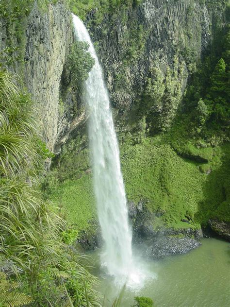 Bridal Veil Falls Wairenga Leaping Waterfall Near Raglan