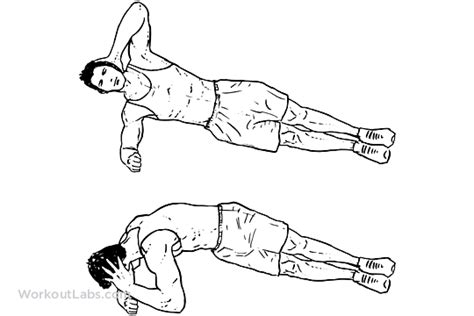 Side Plank Rotations Elbow Twists Workoutlabs