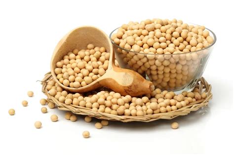 13 Impressive Health Benefits Of Soybeans Natural Food Series