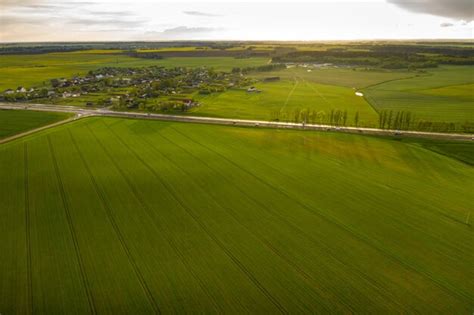 Premium Photo Top View Of The Sown Green In Belarusagriculture In