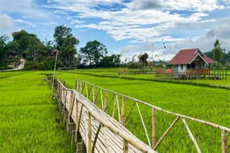 Tondok Bakaru Mengenal Desa Wisata Unik Yang Kaya Pesona Di Mamasa