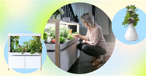 7 Indoor Gardening Systems To Shop In 2022 According To Experts