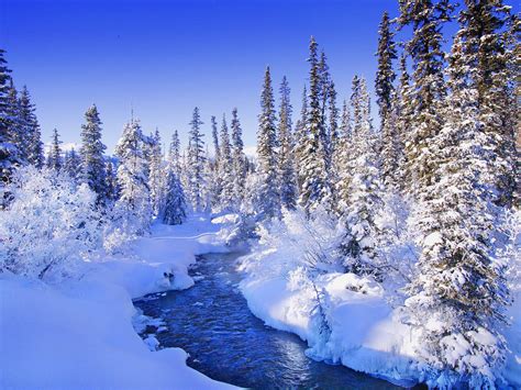 48 Snow Backgrounds And Wallpaper On Wallpapersafari