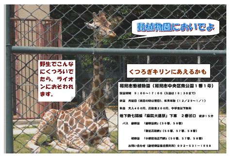 マイリスト 人気作品 モザあり 無修正 素人もの セルフ お問い合わせ. 福岡市動物園｜地下鉄ポスターにご注目ください
