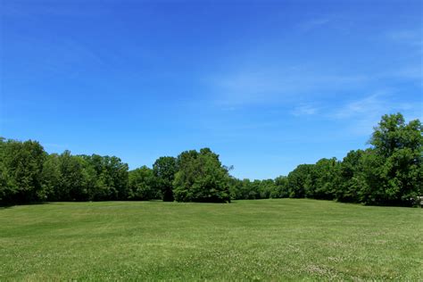 Meadow Under Blue Sky Free Stock Photo Public Domain Pictures