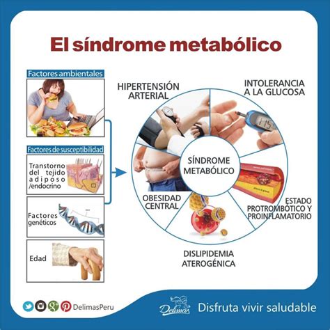 Síndrome Metabólico Qué es causas síntomas y tratamiento Blog