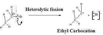 Homolytic And Heterolytic Fission Definitions Examples Differences