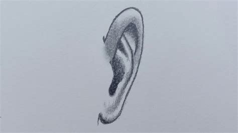 How To Draw Ear Front View How To Draw Realistic Ear Ear Drawing