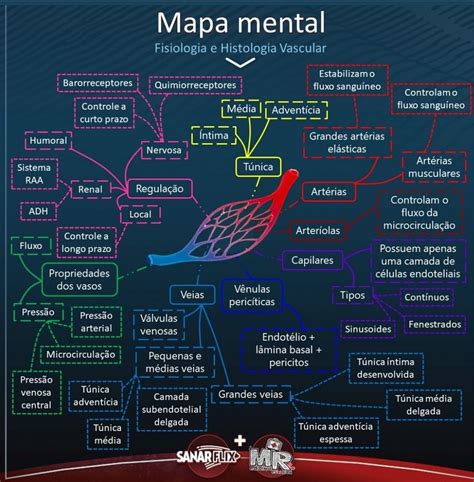 Pin Em Medicina Mapas Mentais