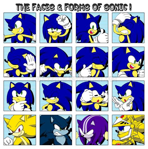 Faces And Forms Of Sonic Sonic O Ouriço Fotografia 34959094 Fanpop