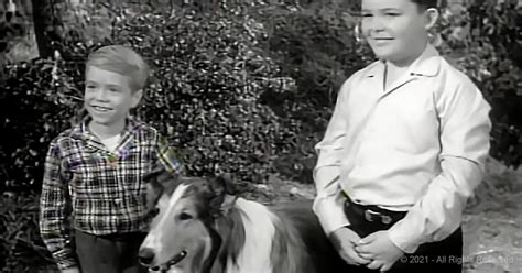 Little Timmy Fondly Recalls His Time With Lassie Wwjd