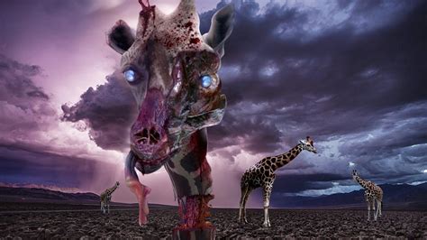 Top 10 Real Zombie Animals - YouTube