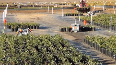 Harvest Automations Hv 100 Robots Space Plants At Altman Plants In Ca