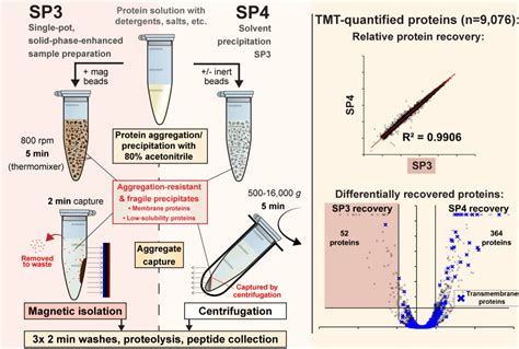 Solvent Precipitation Sp3 Sp4 Enhances Recovery For Proteomics Sample