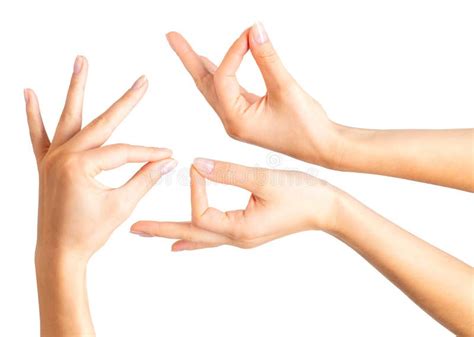 Set Of Woman Hands Showing Mudra Gesture Or Holding Something Stock Image Image Of