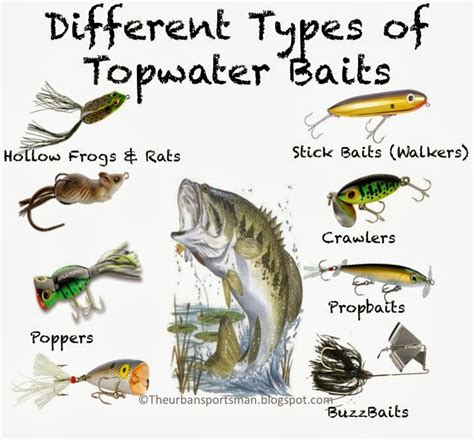 Drop A Line Outdoors LLC Understanding Topwater Baits