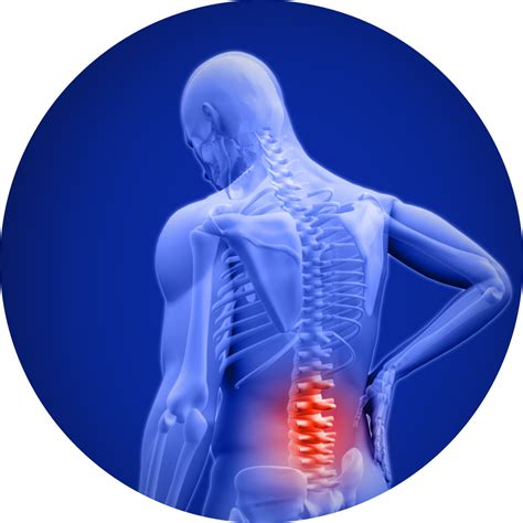 Lower Back Pain Png Pic Png Arts