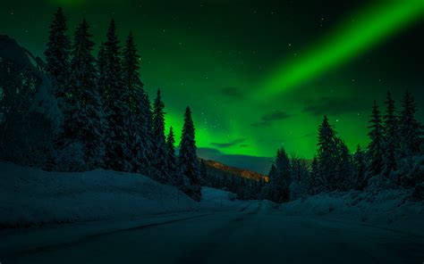 Winter Night Norway