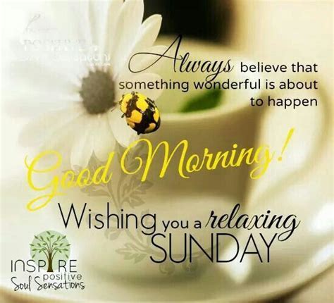 Good Morning Wishing You A Relaxing Sunday Sunday Morning Quotes Sunday Wishes Good Morning