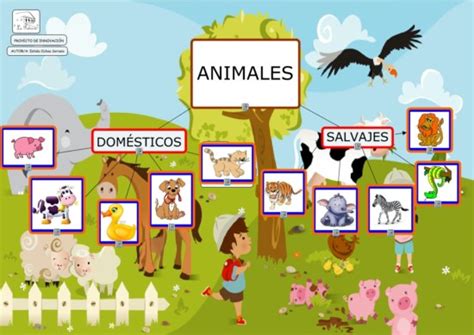 Información De Animales Domésticos Y Salvajes Diferencias Con Cuadros