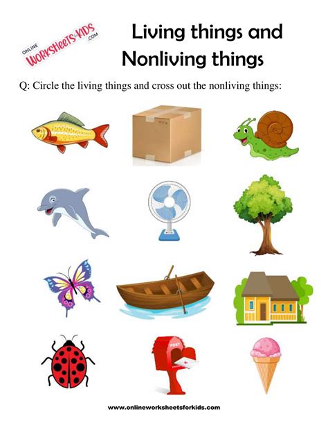 living things and nonliving things living and non liv