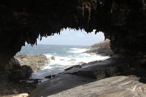 Admirals Arch Kangaroo Island Updated 2021 All You Need To Know