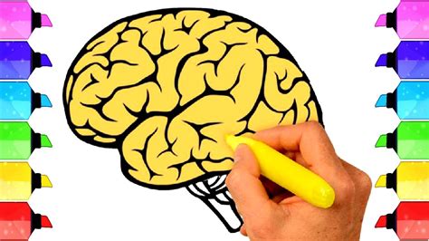 How To Draw A Brain Easy Step By Step At Drawing Tutorials