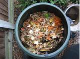 Composting Directly In The Garden Photos