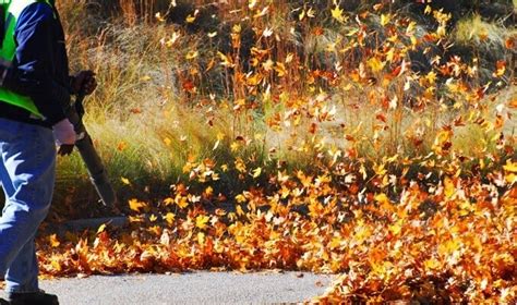 How To Use A Leaf Blower Best Tricks Of Blowing Leaves