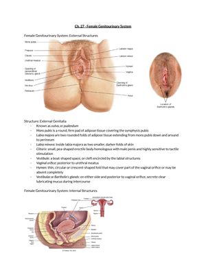 Chapter Nose Mouth And Throat Jarvis Physical Examination And