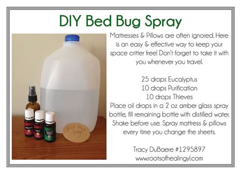 Diy Bed Bug Treatment Examples And Forms