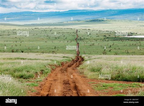 Lewa Downs Kenya Africa Stock Photo Alamy