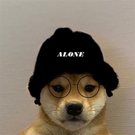 Dog Wif Hat Image By E Girl Ethan In 2020 Dogs Hats Memes