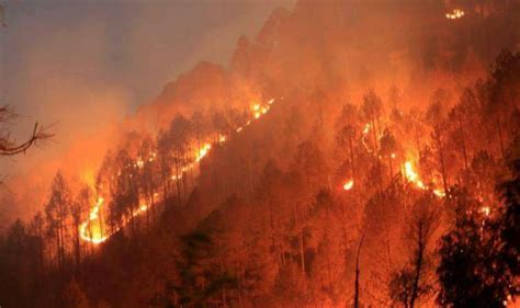 Uttarakhand Forest Fires Can Have Devastating Effect On States