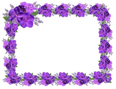 Purple Floral Border Png