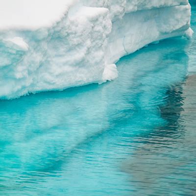 Hilangnya 125 danau di kutub utara beberapa dekade silam memunculkan ide bahwa pemanasan global terjadi lebih heboh di daerah kutub. 5 Semut: 10 Perbedaan Kutub Utara Dan Kutub Selatan
