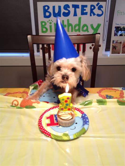 Dog Themed Birthday Party Ideas