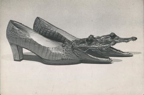 Alligator Shoes Photographic Art Postcard