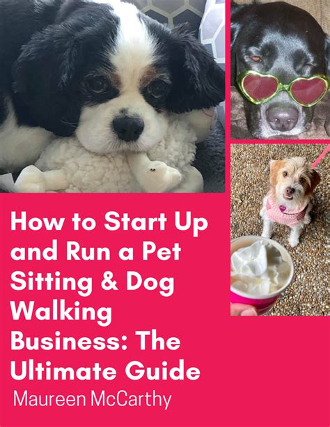 How To Start Up And Run A Pet Sitting And Dog Walking Business The