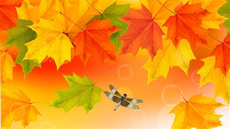 69 Fall Colors Background