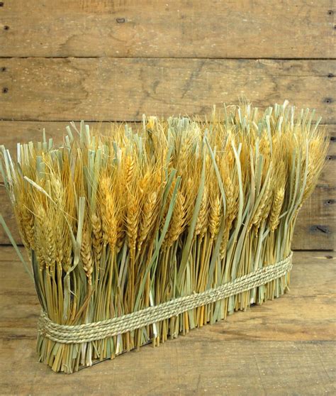 Natural Preserved Wheat Bundle 10