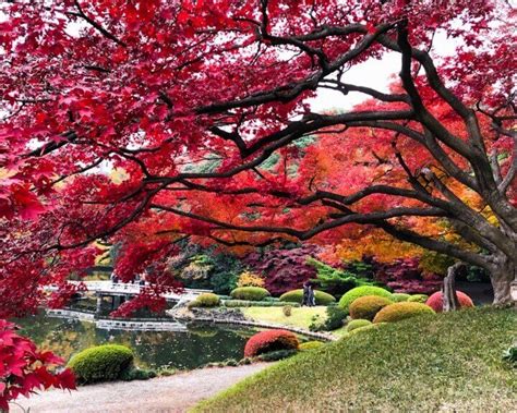 Japan Autumn Itinerary Best Places To Visit In Fall • Hoponworld