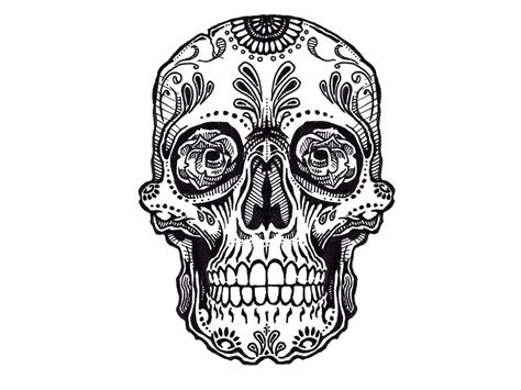 Skull Tattoo Design 1600×1200 Tattoos Pinterest