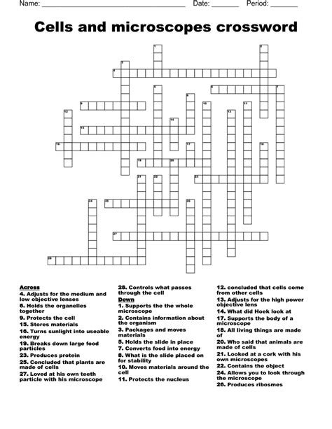 Parts Of The Microscope Crossword Wordmint
