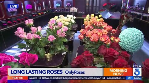Long Lasting Roses At Onlyroses In Beverly Hills Ktla