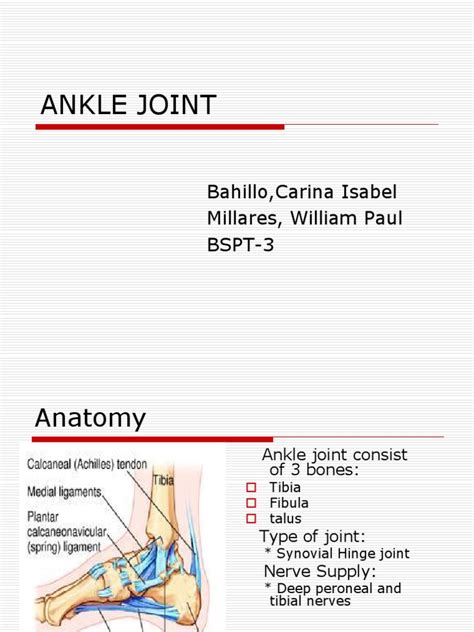 Ankle Joint Ppt Ankle Lower Limb Anatomy