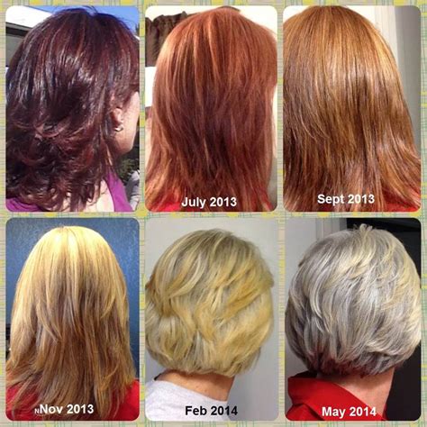 Pin By Rosie Singer On Dejarse Las Canasantes Y Después Going Graybeforeandafter Hair