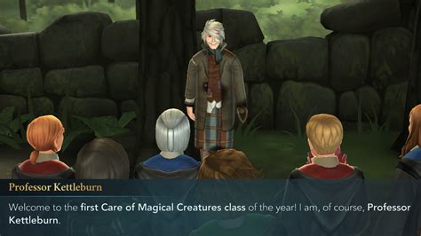 Care Of Magical Creatures Harry Potter Hogwarts Mystery Cardinals