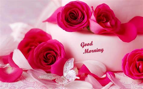 Contents  hide 1 good morning! 40+ Beautiful Good Morning Images with Flowers